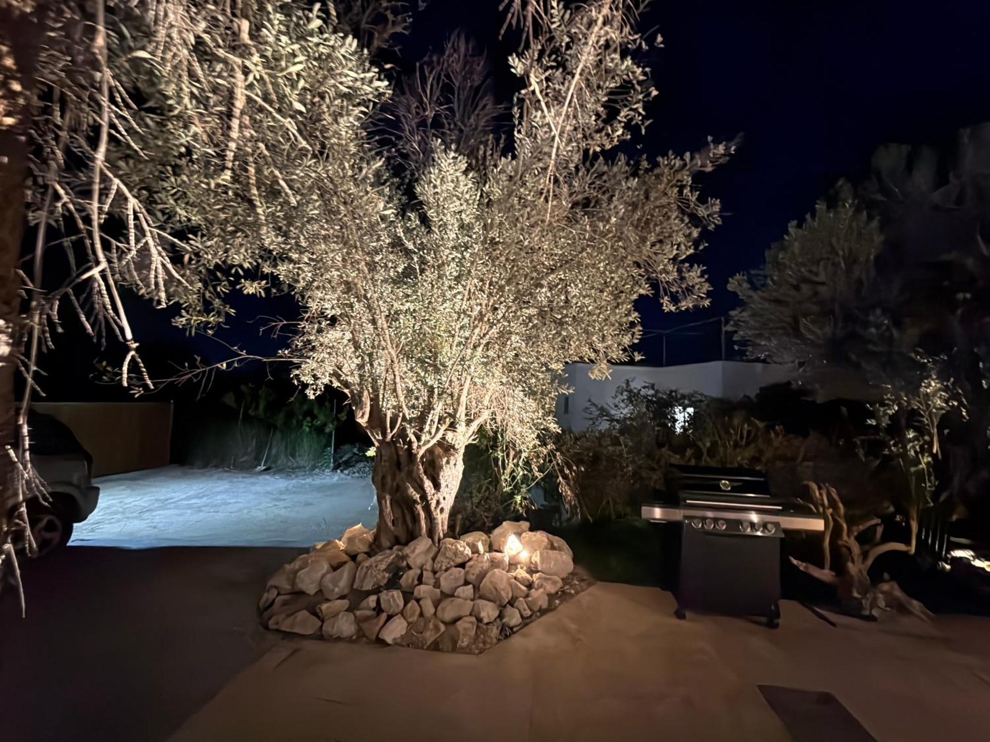 Gatsby Rhodes Brand New Exclusive Villas Asgourou エクステリア 写真