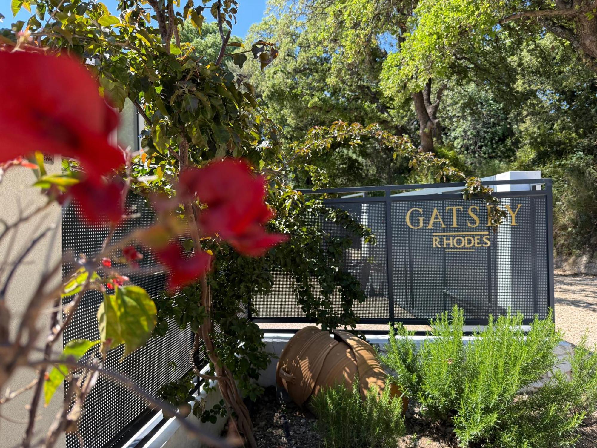 Gatsby Rhodes Brand New Exclusive Villas Asgourou エクステリア 写真